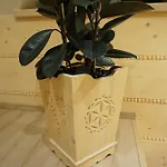 Oaza Szczescia Koniaków