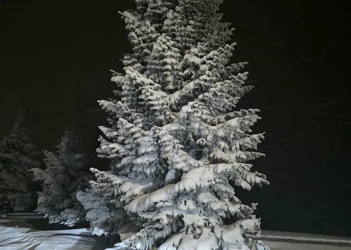 Oaza Szczescia Koniaków