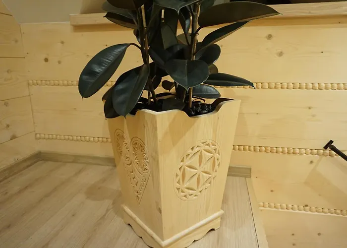 Oaza Szczescia Koniaków